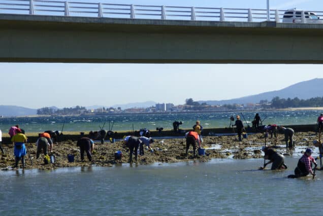 Ruta Artes de Pesca