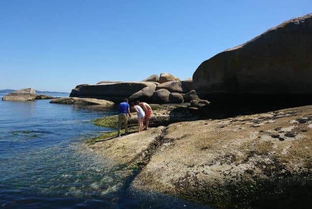 Isla de Rúa