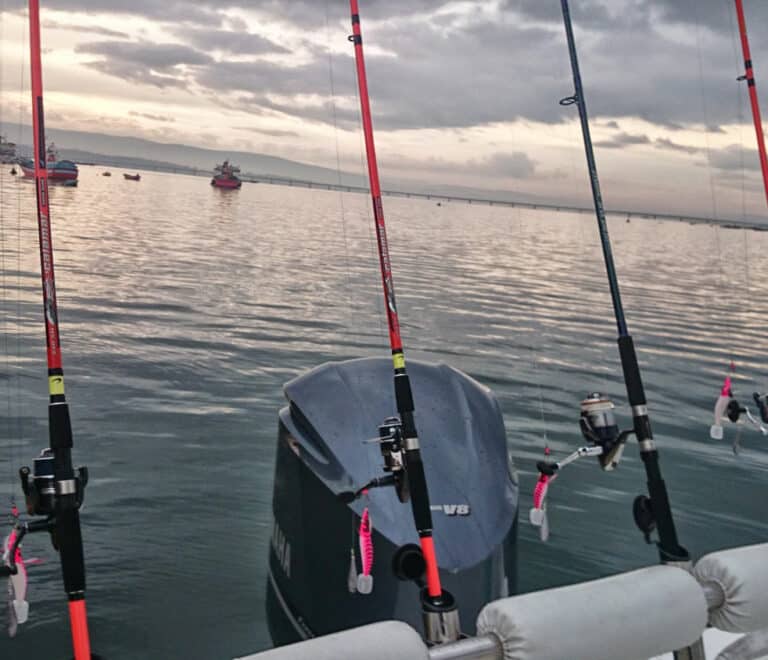 Salida de Pesca para Iniciados