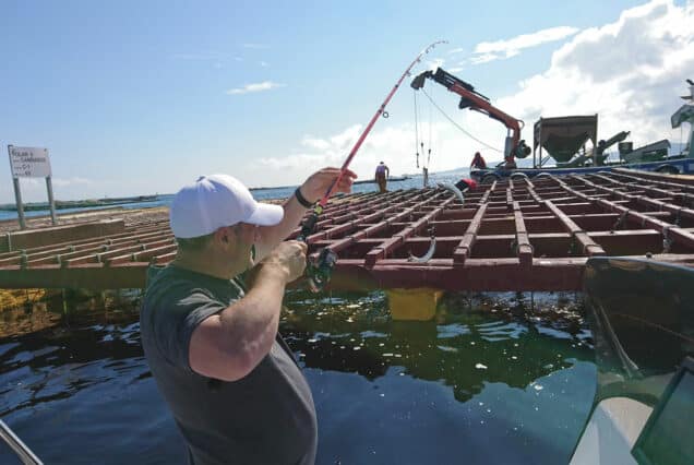 Salida de Pesca para Iniciados