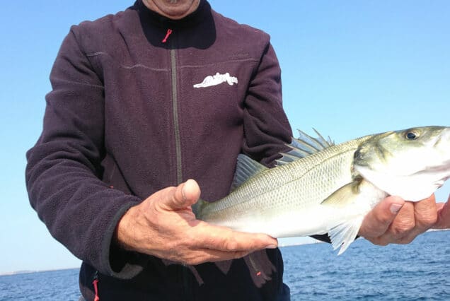 Salida de Pesca para Iniciados