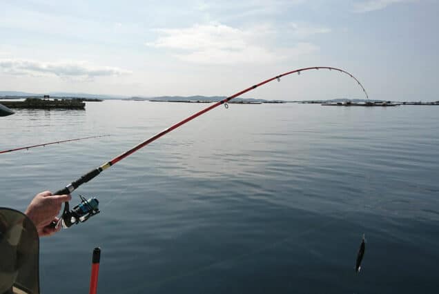 Salida de Pesca para Iniciados