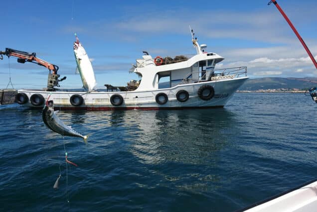 Salida de Pesca para Iniciados