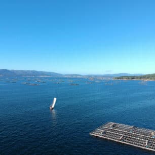 Ría de Arousa