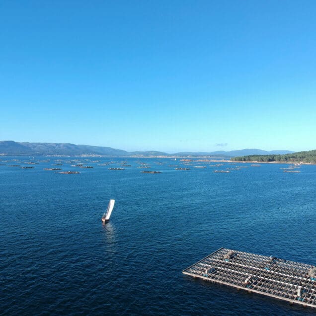 Estuary “Ría de Arousa”