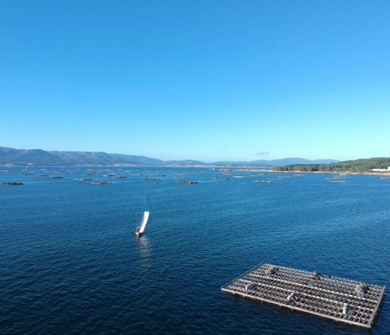 Ría de Arousa