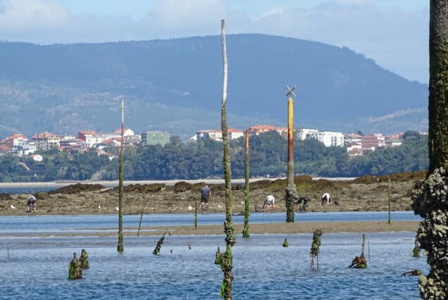 Isla de Cortegada