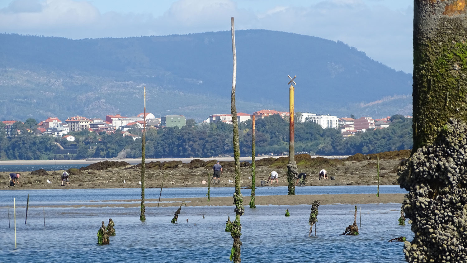 Isla de Cortegada