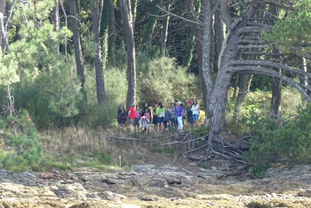 Isla de Cortegada