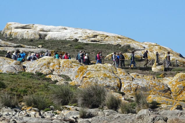 Isla de Cortegada