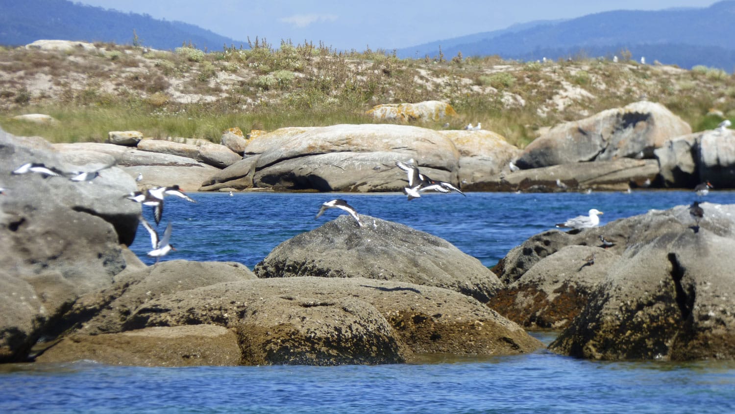 Isla de Cortegada